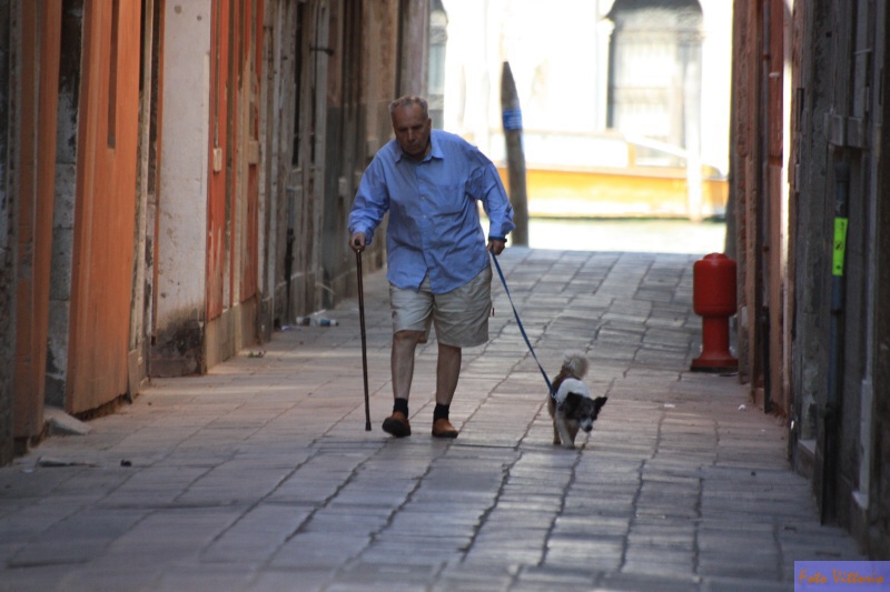 Stařec a jeho věrný přítel,Venezia-Itálie09.JPG